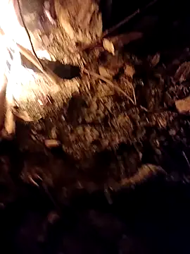 Snapshot of Sikici0734 chatting on 10-06-25, 05:21 Sikici0734 online show from 10-06-25, 05:21