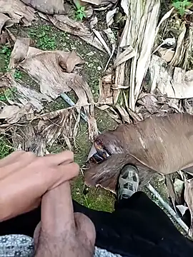 Snapshot of Sikici0734 chatting on 11-13-25, 09:19 Sikici0734 online show from 11-13-25, 09:19