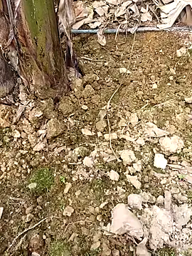 Sikici0734 online show from 02-24-26, 09:40