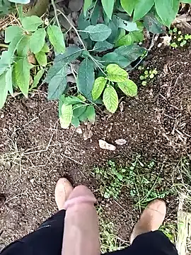 Sikici0734 online show from 02-26-26, 08:24