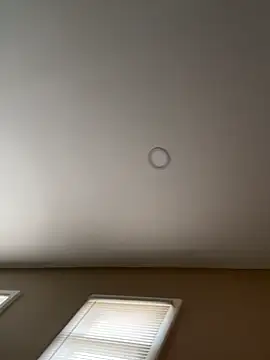 Snapshot of murphdolla chatting on 11-29-25, 02:42 murphdolla online show from 11-29-25, 02:42