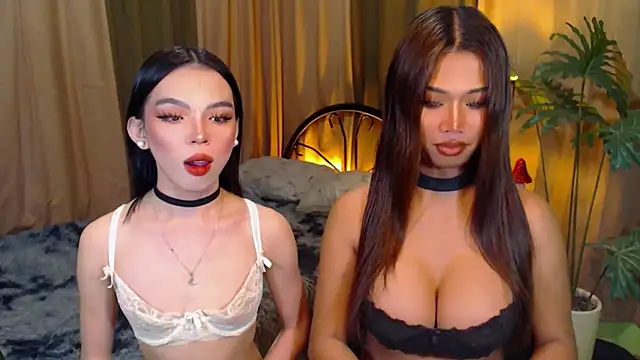 TWINKTRANSSHANEL online show from 10-08-25, 04:32