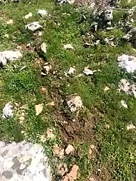 Sert erkek21 ysm online show from 03-24-26, 11:26