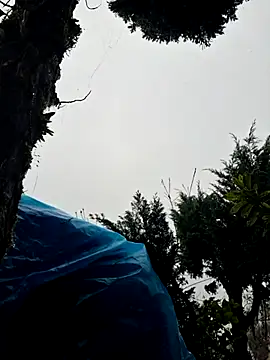 miomio-12 online show from 11-02-25, 01:35