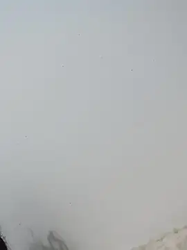  Bella Beth  online show from 12-02-25, 12:49