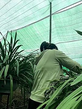 miemie-xx online show from 01-08-26, 07:43