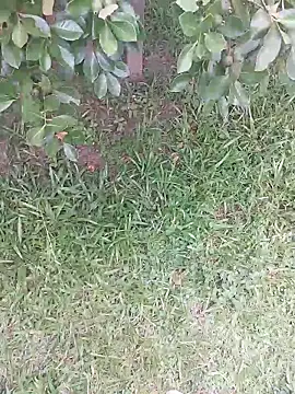 Merlin2310 online show from 02-09-26, 07:40