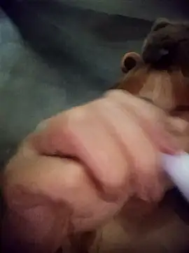 Rabbit-small online show from 03-20-26, 04:12