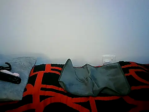 Ntokozo290 online show from 11-11-25, 07:03