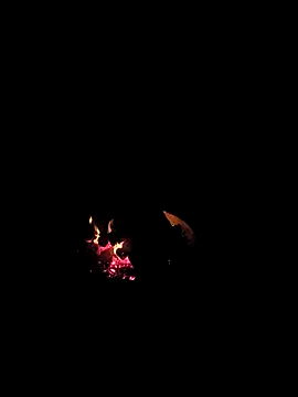 Snapshot of Floridaboy863 chatting on 02-05-26, 03:33 Floridaboy863 online show from 02-05-26, 03:33