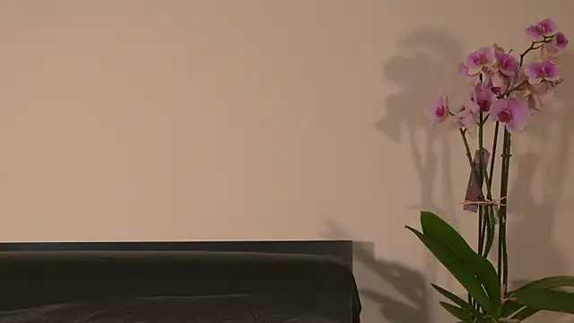 Snapshot of AbrilColls_ chatting on 03-15-26, 12:16 AbrilColls online show from 03-15-26, 12:16