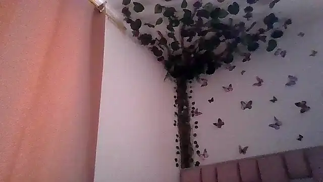 abby moss 2 online show from 06-26-26, 12:53