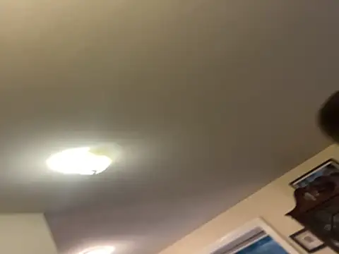 custardnmypie online show from 11-10-25, 12:09