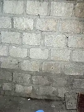 siusiu-00 online show from 11-21-25, 07:56