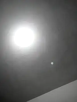 checheludo23 online show from 02-25-26, 12:20