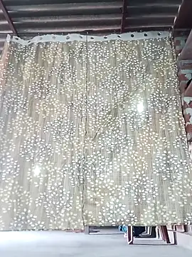 Rajni chauhan online show from 11-15-25, 06:55