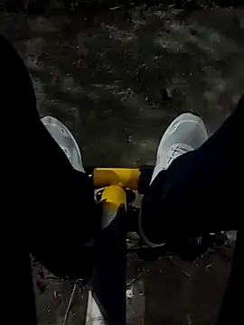 roludao fun online show from 12-19-25, 10:17