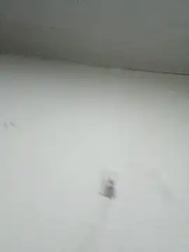 Nonname3 online show from 11-11-25, 05:18