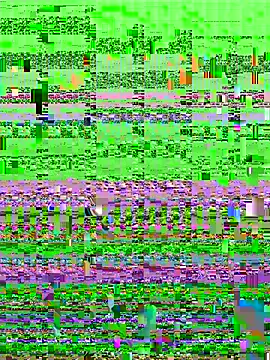 aaaaawhate online show from 03-09-26, 11:36