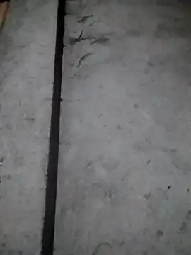 rickkis2k online show from 12-16-25, 10:15