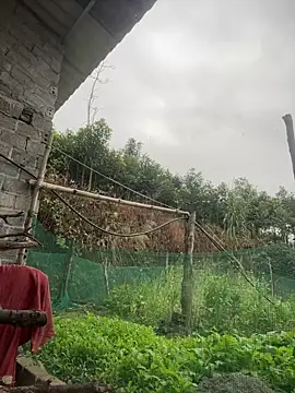 Irin jo online show from 02-01-26, 12:31