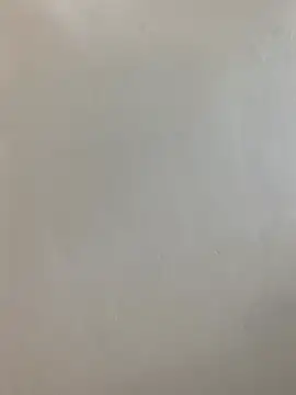 hairypussy254 online show from 04-19-26, 06:35