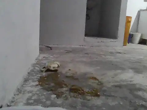 jupiter 333 online show from 01-08-26, 07:21