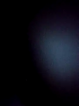 BulbasaurIsmettv online show from 12-02-25, 04:07