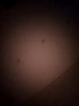 Snapshot of Mammothx12 chatting on 02-14-26, 07:54 Mammothx12 online show from 02-14-26, 07:54