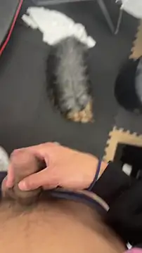 findomhot online show from 11-05-25, 09:04