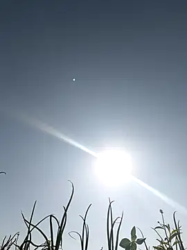 Snapshot of devil_boy_0909 chatting on 03-05-26, 03:46 devil boy 0909 online show from 03-05-26, 03:46