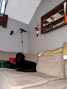 mattiethebaddieee online show from 11-30-25, 08:35