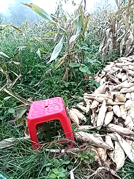 doggy-00 online show from 07-17-26, 03:02