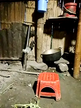doggy-00 online show from 07-30-26, 10:20