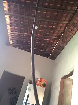 Ralf2011 online show from 12-04-25, 05:54