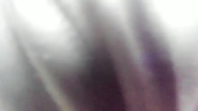 wild best online show from 02-16-26, 03:19