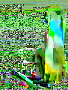 cchairez1188 online show from 10-29-25, 09:38