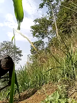 yoyo-mi online show from 05-06-26, 08:41
