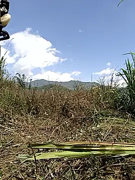 yoyo-mi online show from 05-13-26, 03:04