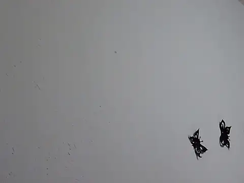 Morticia Black online show from 01-18-26, 08:01