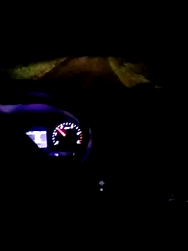 pino870 online show from 11-18-25, 11:26