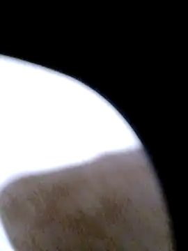 pino870 online show from 02-20-26, 12:29