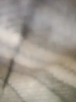 Pallu Asha online show from 03-01-26, 04:25