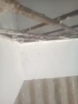 Pallu Asha online show from 04-28-26, 12:53