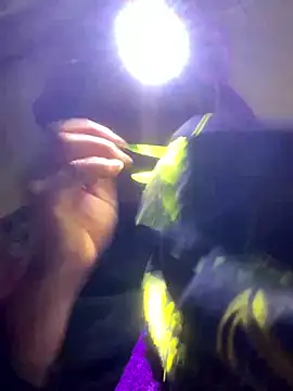 bi-bo123 online show from 01-11-26, 02:22