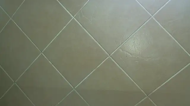 NewBeginnings8 online show from 12-15-25, 12:53