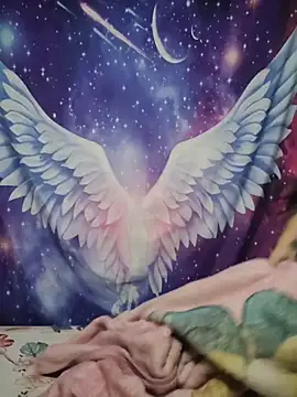 CurvyNoir online show from 04-08-26, 12:43