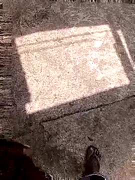 DK 9396 online show from 02-16-26, 08:43