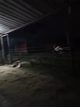 Snapshot of taylor1991V chatting on 12-01-25, 11:43 taylor1991V online show from 12-01-25, 11:43