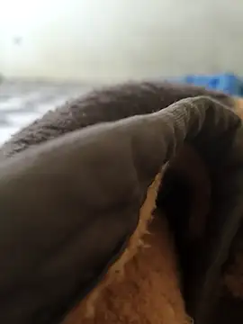 Realverse online show from 11-05-25, 04:40